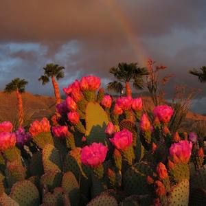 Meet your Posher, Keiran